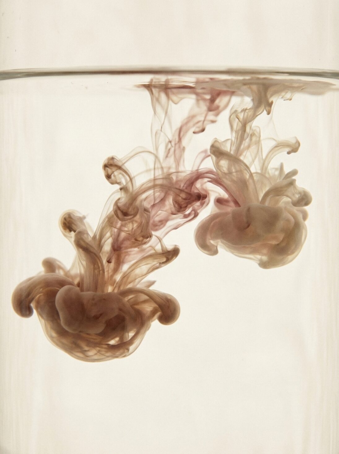 Ink blooming in still water
